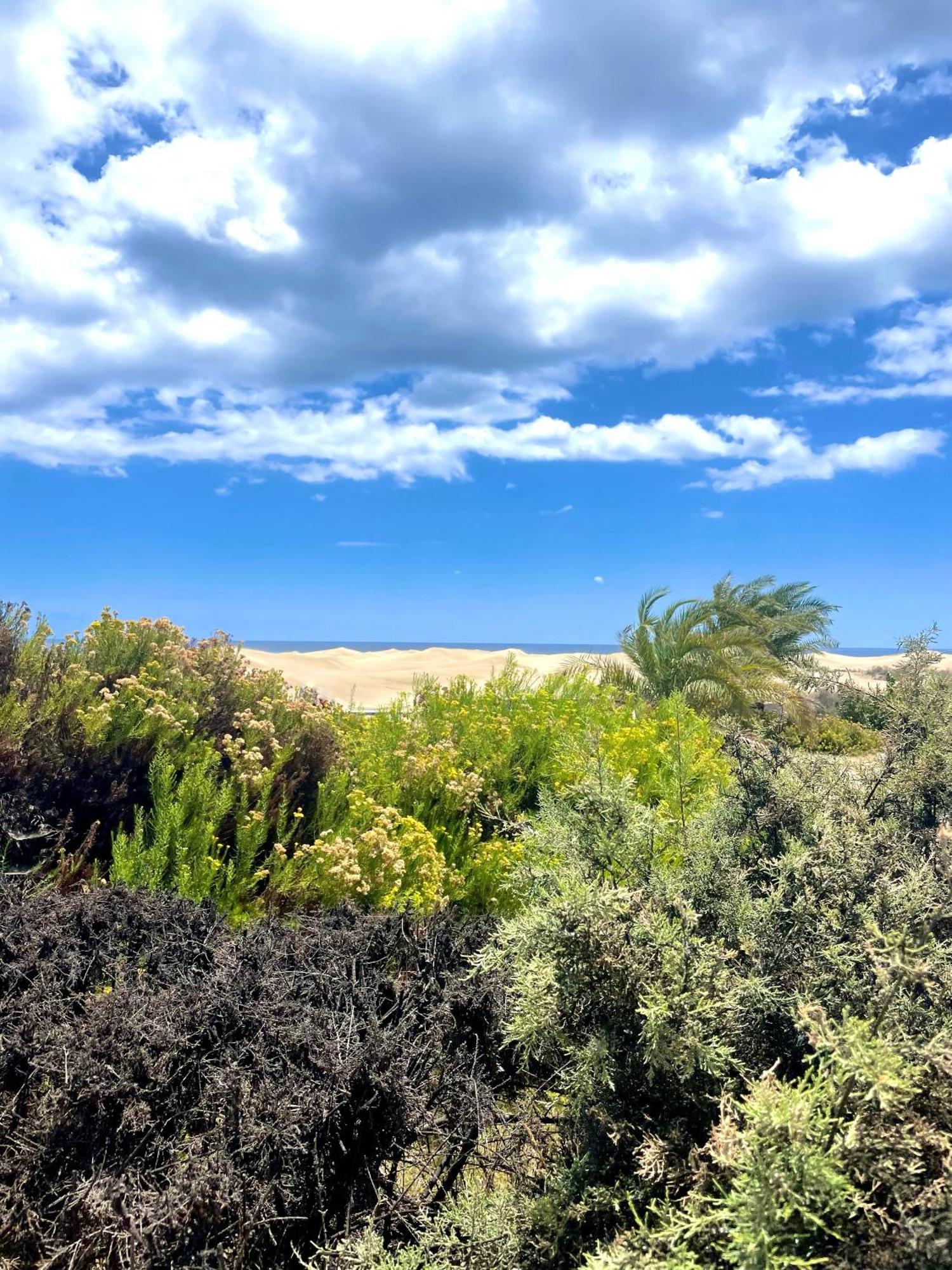Moon Dunes Apartment - By Yumbo Center - Playa Del Ingles 外观 照片